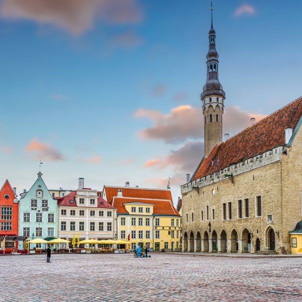 Blick auf die Altstadt von Tallinn