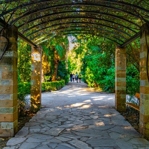 Athens' National Garden