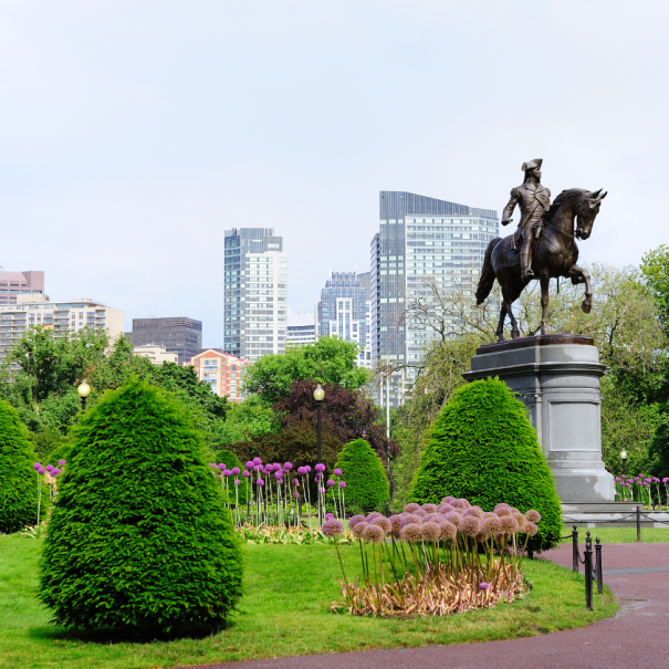 Der öffentliche Park "Boston Common"