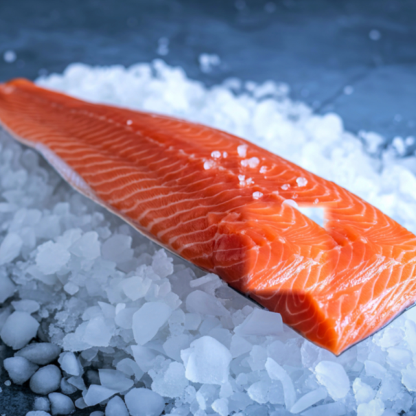 Fangfrischer Lachs auf Eis