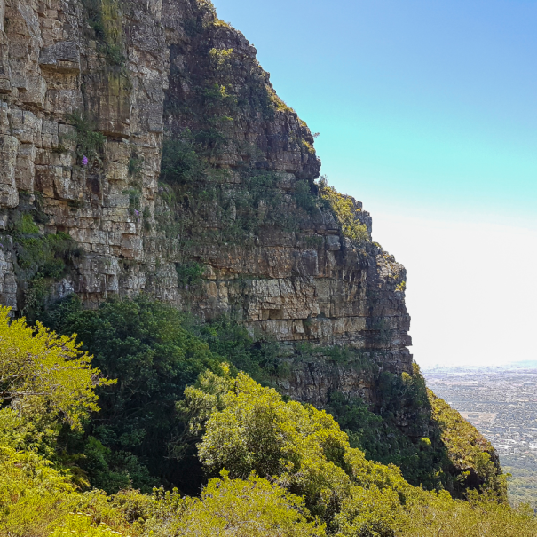 Lion´s Head Aussichtspunkt in Kapstadt