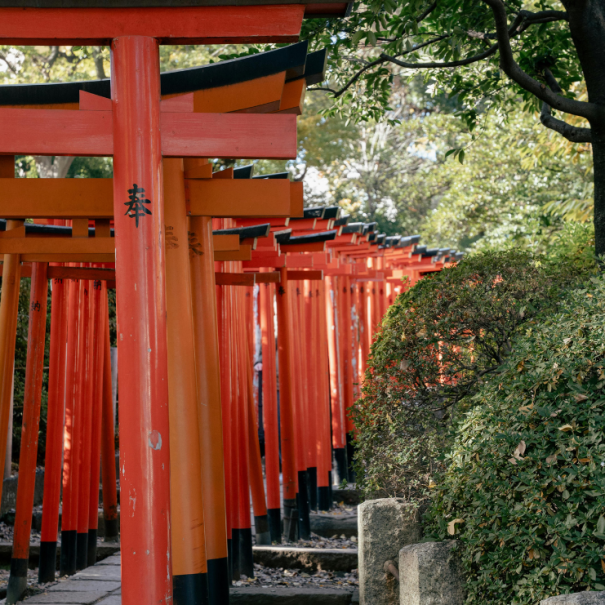 Der historische Nezu Schrein