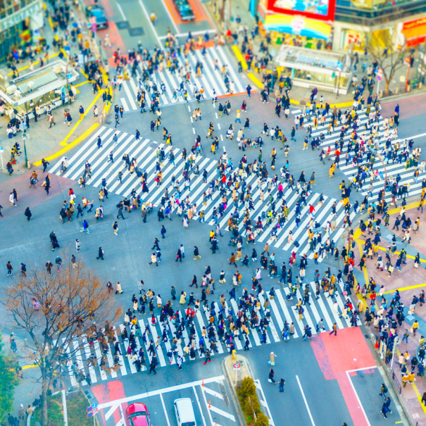 Die berühmte Kreuzung "Shibuya Scramble Crossing"