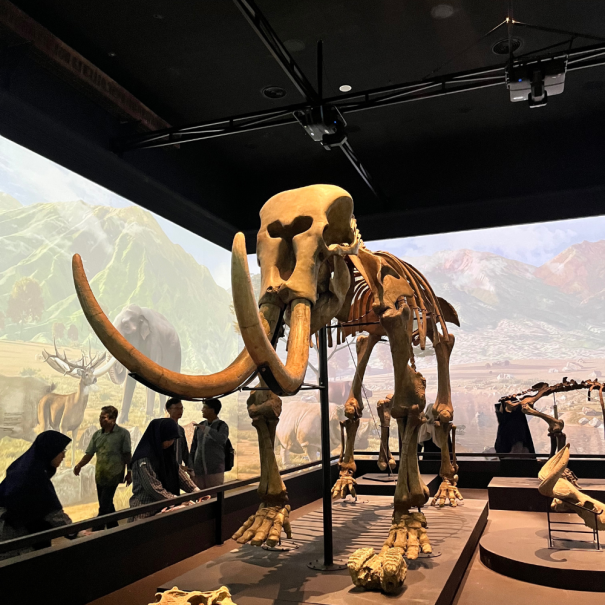 Museumsaustellung in Kapstadt